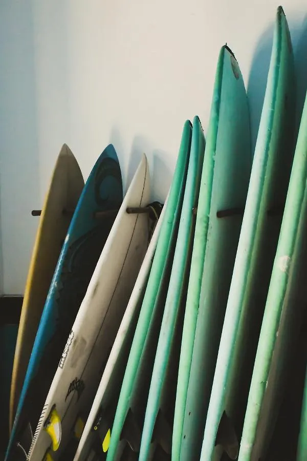 Single Fin Surf Hostel 아로나