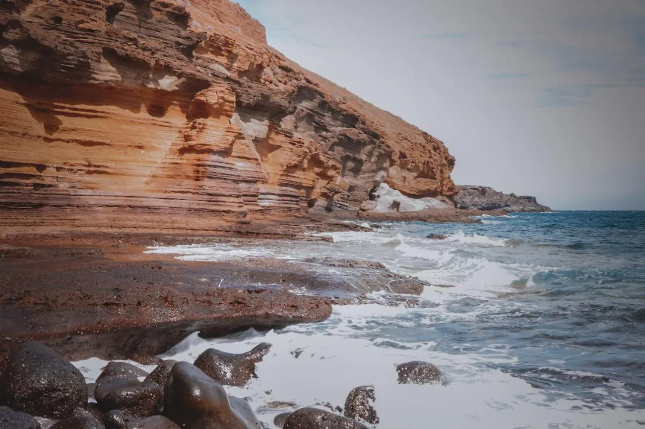 Single Fin Surf Hostel 아로나