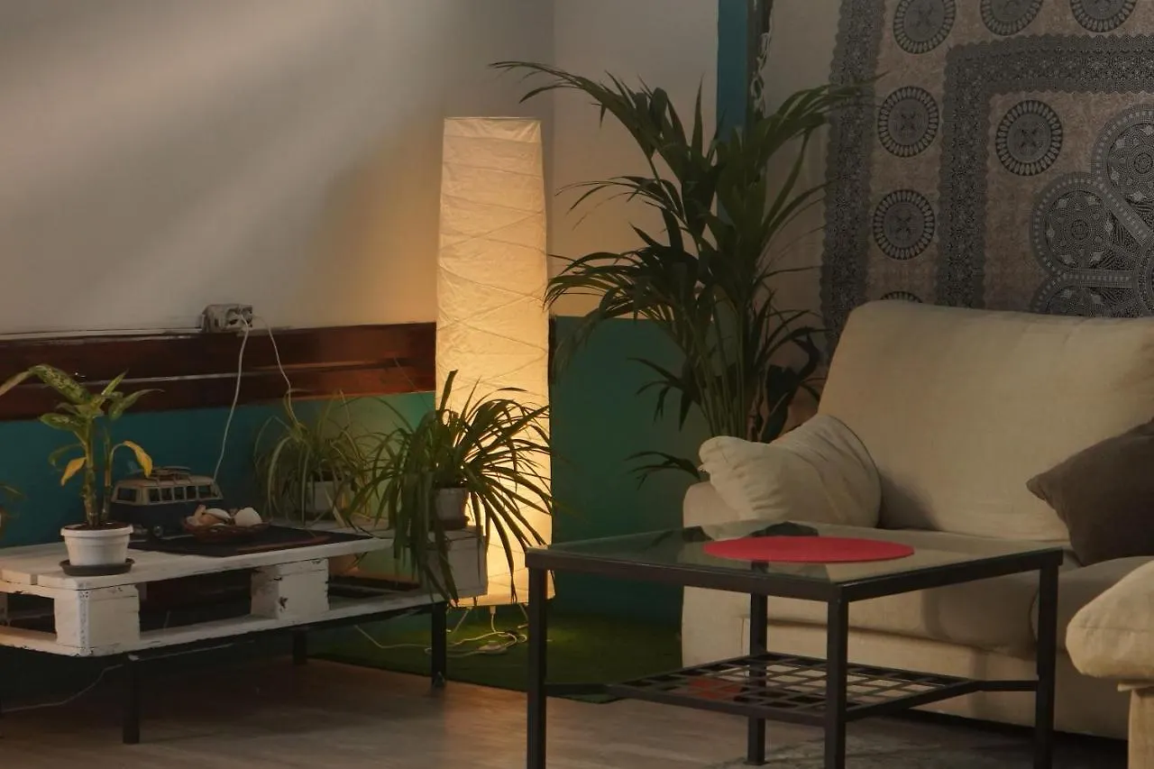 Single Fin Surf Hostel Arona   Arona (Tenerife)