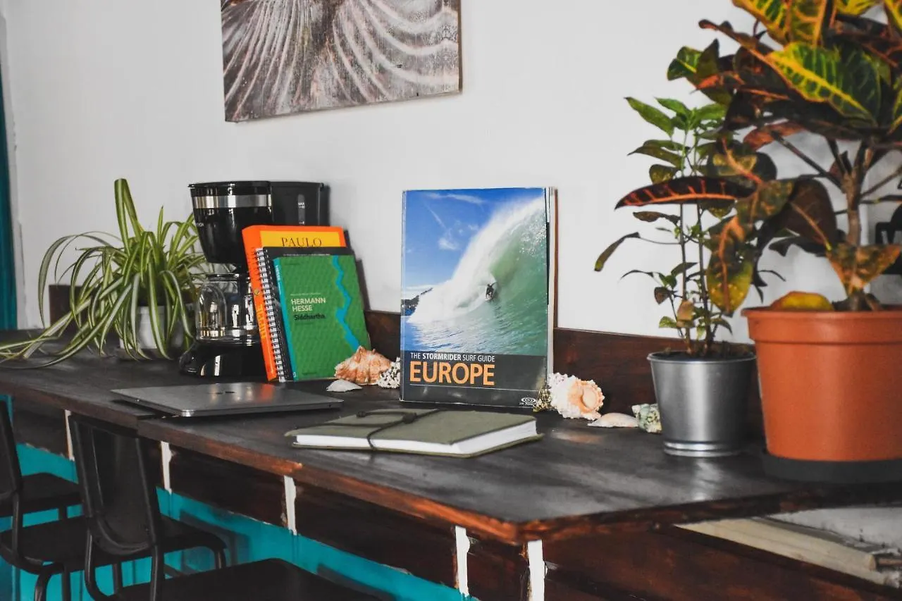 Single Fin Surf Hostel Arona  Espanha